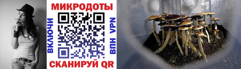 Галлюциногенные грибы Cubensis  МЕГА вход  Сарапул 